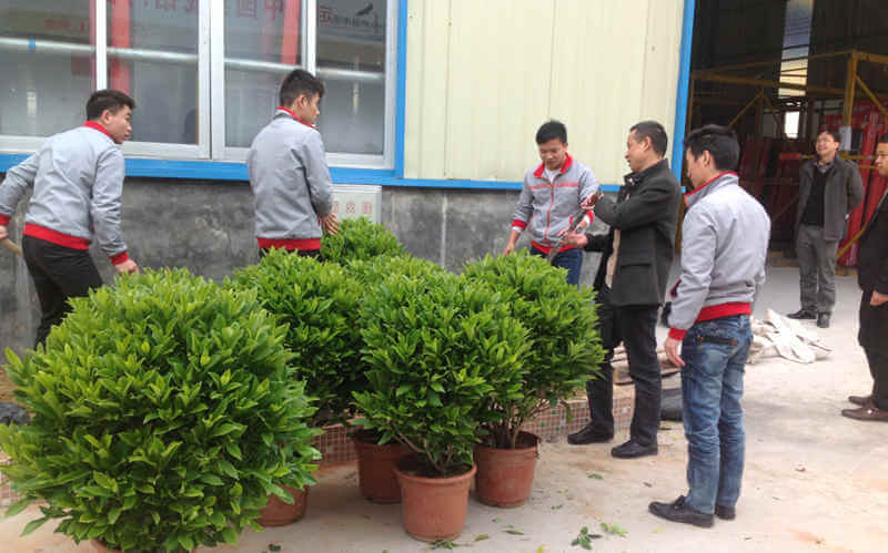 植樹活動(dòng)