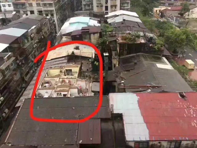 “鴿斯拉”強勢來襲，顛覆了我對門窗的價值觀，終于知道為什么都選亮閣門窗了！