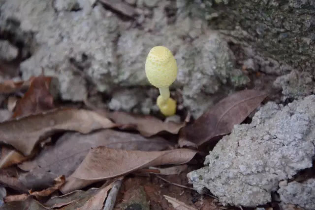 亮閣門窗|青春不朽，勇攀高峰；不登將軍亭，枉游北嶺山。