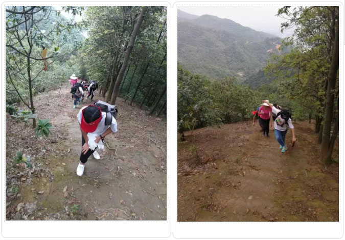 亮閣門窗|青春不朽，勇攀高峰；不登將軍亭，枉游北嶺山。